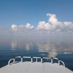 Meet your Posher, Adriana